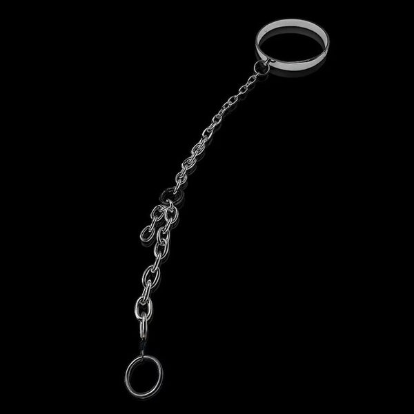 Metal Slave Sexual Restraint Neck Collar with Cock Ring Cbt Bdsm Kits
