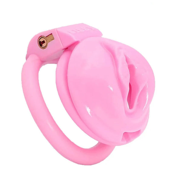 Sissy Pussy Chastity Cage, Pussy cock cage,Plastic Sissy Chastity Cage,Pink Colored Vagina Cage with 4 Adjustable Size Rings