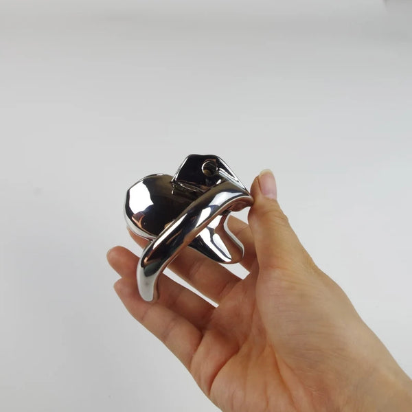 Tiny Stainless Steel Male Chastity, Mini Chastity Cage, Chastity with Invisible Lock Cock cage